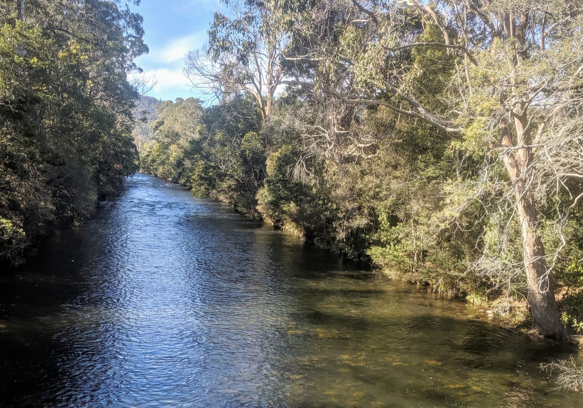 The Meander River - Upstream from Deloraine